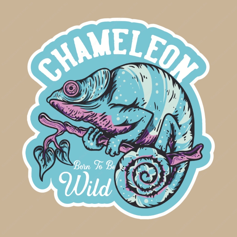 Koala Stickers: Chameleon Sticker
